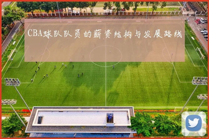 CBA球队队员的薪资结构与发展路线