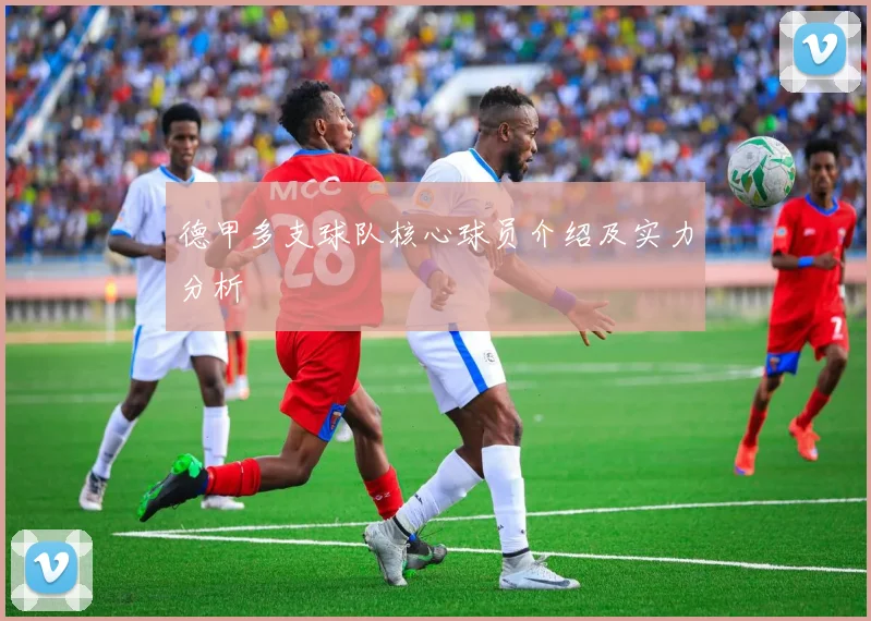 德甲多支球队核心球员介绍及实力分析