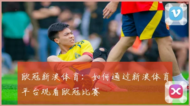 欧冠新浪体育：如何通过新浪体育平台观看欧冠比赛