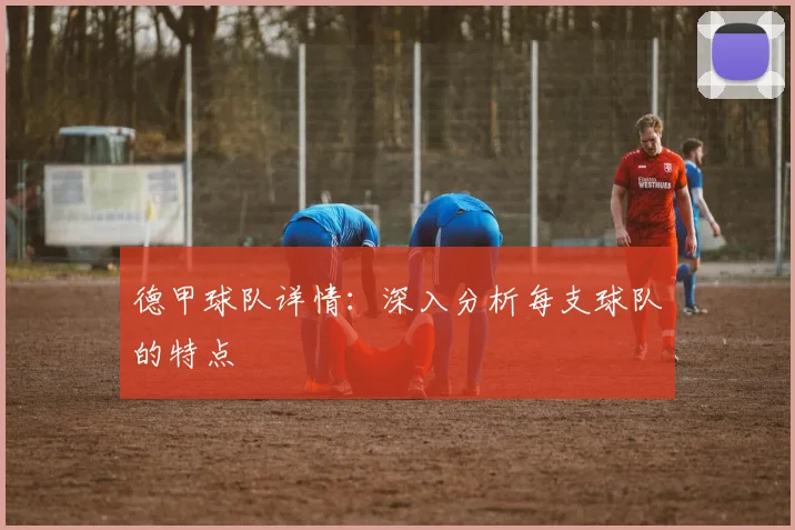 德甲球队详情:深入分析每支球队的特点