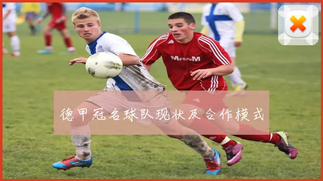 德甲冠名球队现状及合作模式