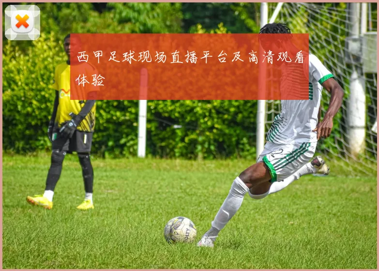 西甲足球现场直播平台及高清观看体验